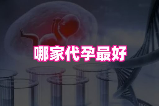 杭州助孕网站 1
