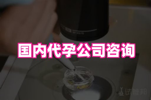 杭州助孕网站 2